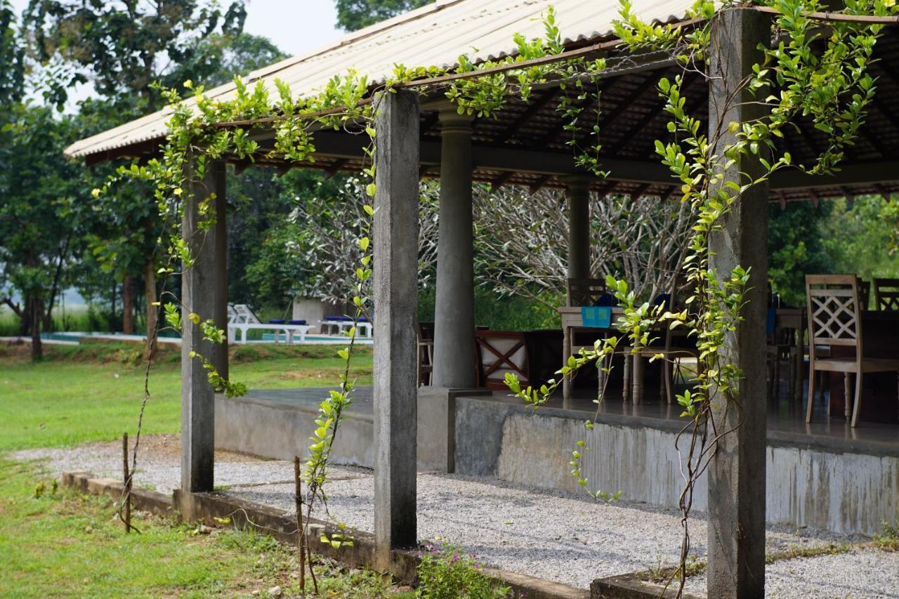 Sevanagama Hostal Habarana Exterior foto